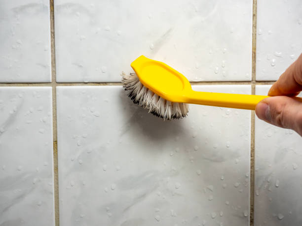 Mold Removal Process in Millersburg, OH